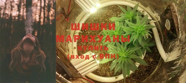 дмт Арсеньев